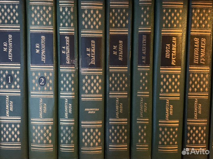 Библиотека поэта