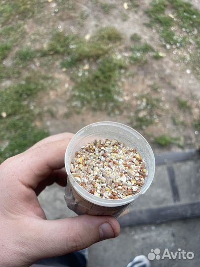 Зерносмеси