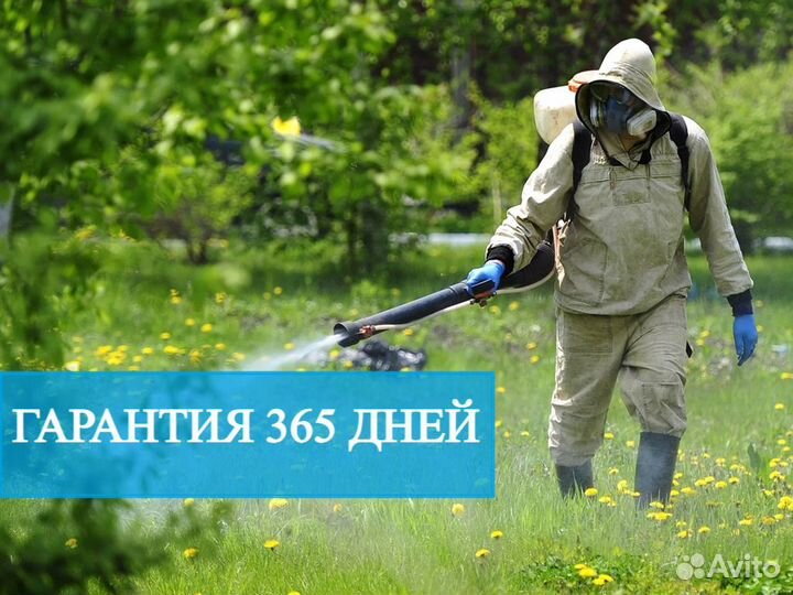 Уничтожение тараканов клопов грызунов Дезинфекция