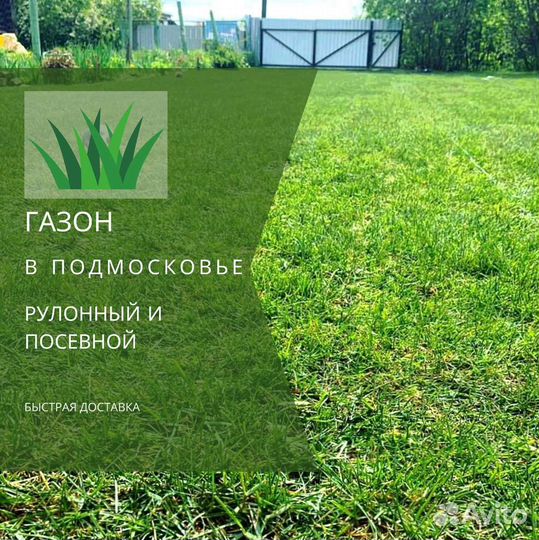 Газон. Рулонный газон