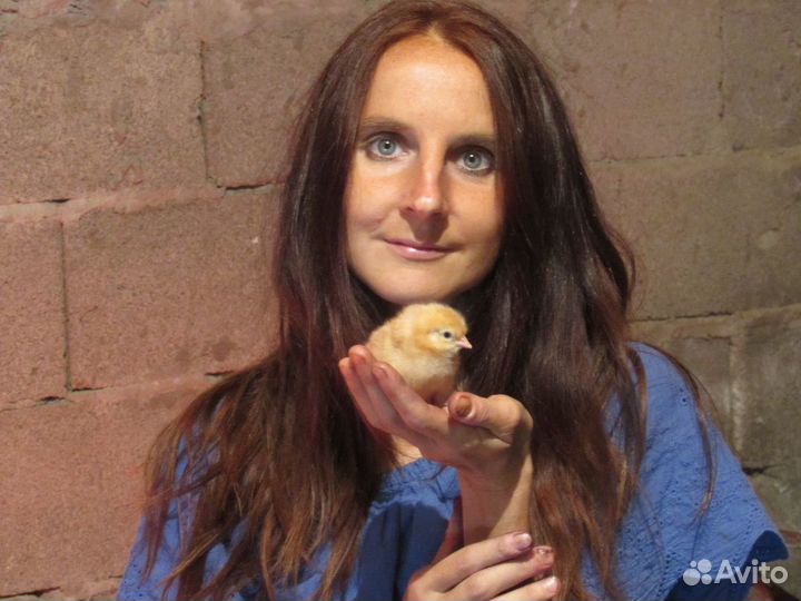 Личный помощник