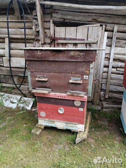 Ульи для пчел