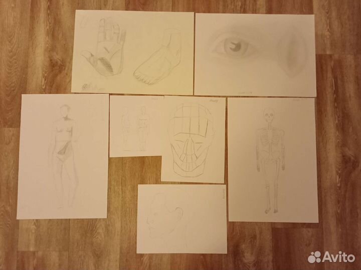 Готовые натюрморты, анатомия, перспектива