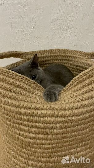 Эко корзина