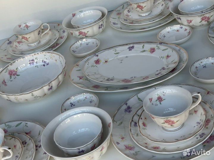 Сервиз Флориана (Вьюн) 6 перс. 45 предм.с розетк