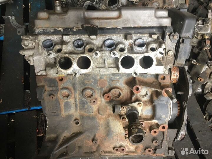 Двс двигатель NFZ PSA peugeot citroen 1.6 8V