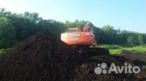 Луговая земля