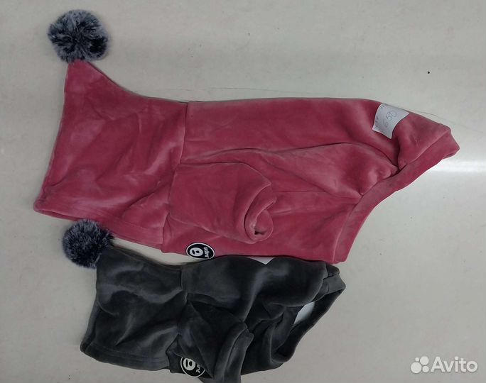 Одежда для животных