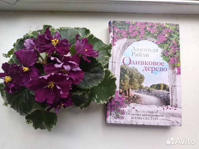 Л. Райли "Оливковое дерево", в отличном состоянии, аккуратно... купить ...