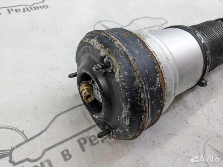 Пневмостойка передняя w220 S-class 113.966 19.0