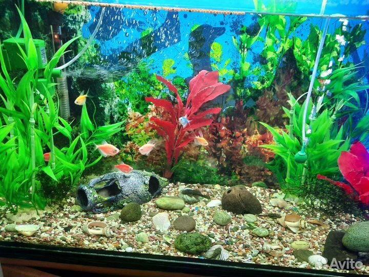 Украшение для аквариума