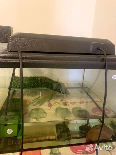 Террариум аквариум для черепахи