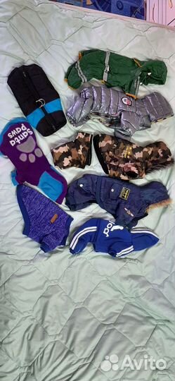 Одежда для собак