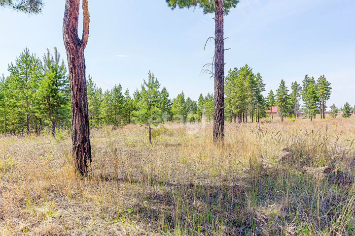 Участок 8 сот. (ИЖС)