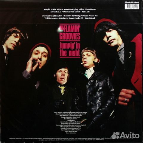 The Flamin' Groovies / Jumpin' In The Night (LP)