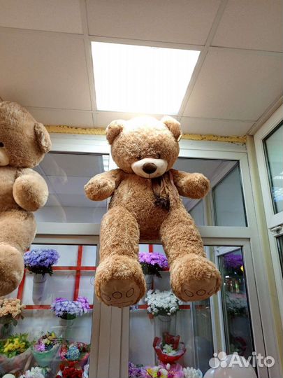 Плюшевый медведь