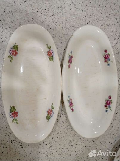 Селедочницы зик