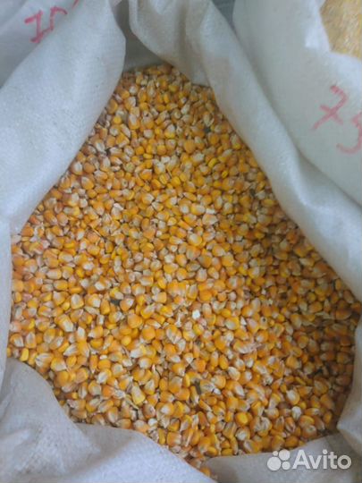 Корм для домашней живности