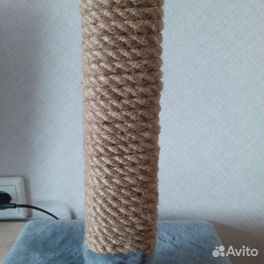 Когтеточка