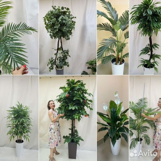 Монстера Премиум цветок искусственный в офис кафе