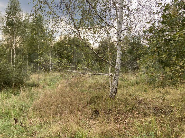 Участок 6 сот. (СНТ, ДНП)