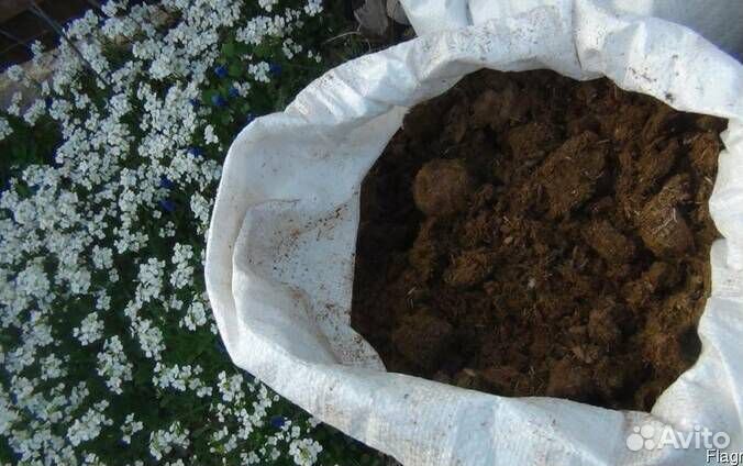 Навоз перегной плодородный грунт компост