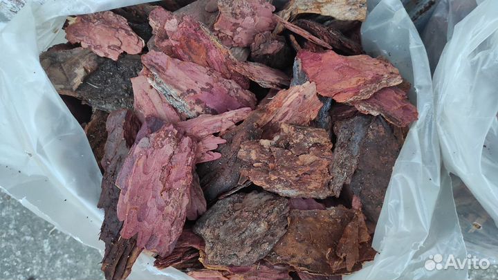 Кора лиственницы 1-3