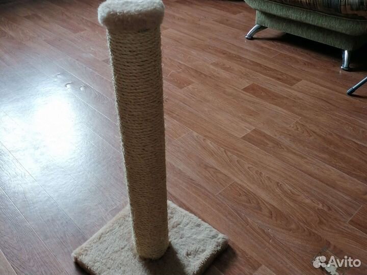 Когтеточка твёрдая