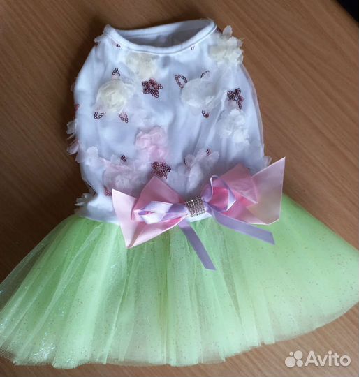 Вещи для маленьких собак