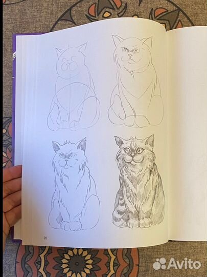 Супер курс по рисованию котики и их друзья