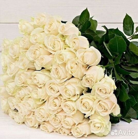 Высокие розы Гигантские розы Доставка цветов