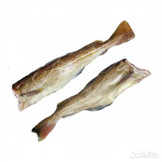 Предлагаю рыбу и морепродукты оптом и в розницу