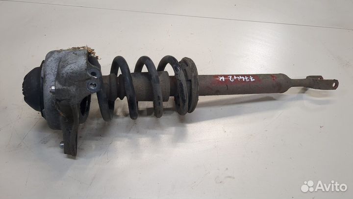 Амортизатор подвески Audi A6 (C6), 2008