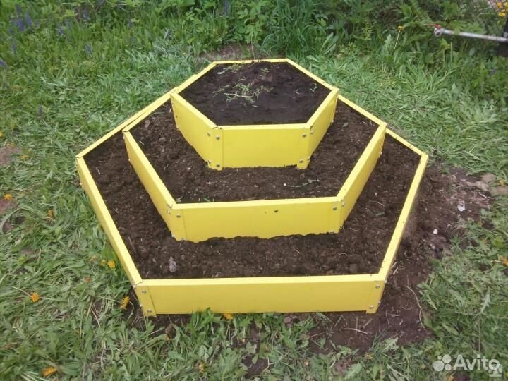 Клумбы желтые