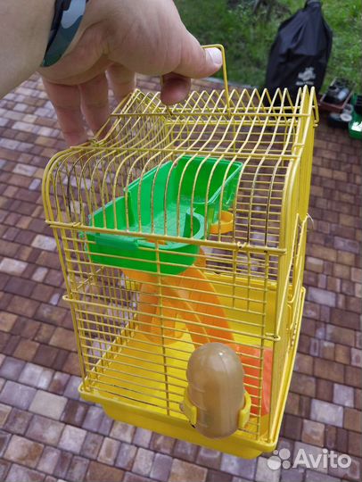 Клетка для хомяка