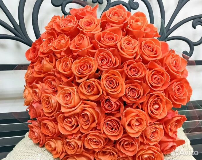 51 роза доставка, букет из 51 розы 70-80 см купить