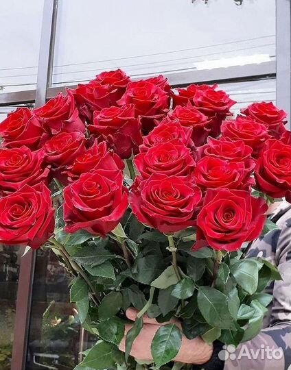 Длинные высокие розы 110 150 160 180 200 см