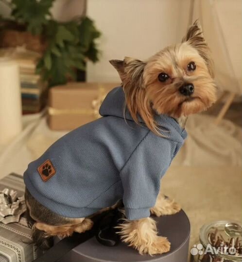 Толстовка для собак