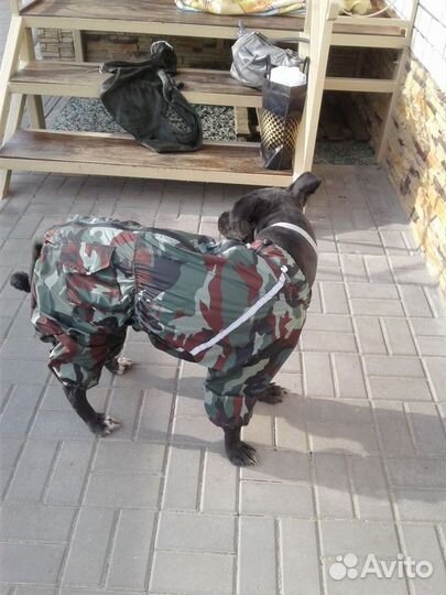 Комбинезон для собаки