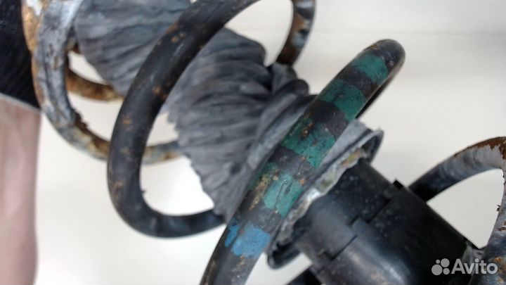 Амортизатор подвески Volkswagen Beetle, 2002