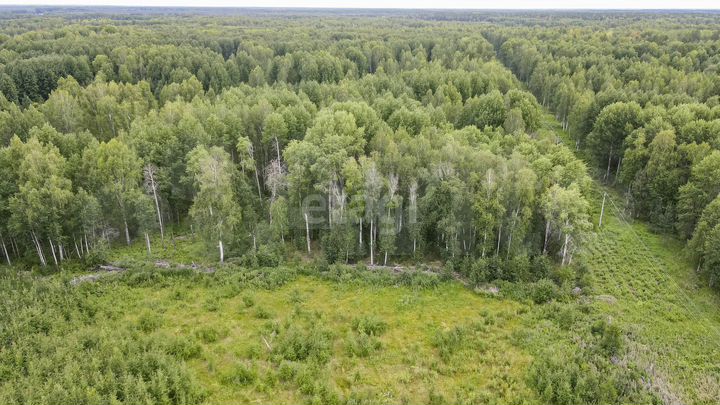 Участок 11 сот. (личное подсобное хозяйство (лпх))