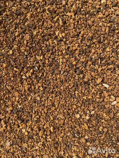 Чага Березовая Чага-чай