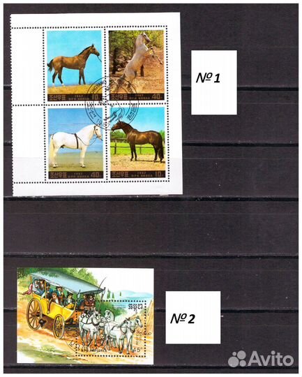 Домашние животные (Почтовые марки, блоки)