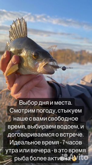 Обучение летней рыбалке для начинающих