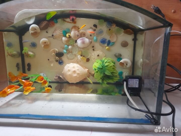 Аквариум