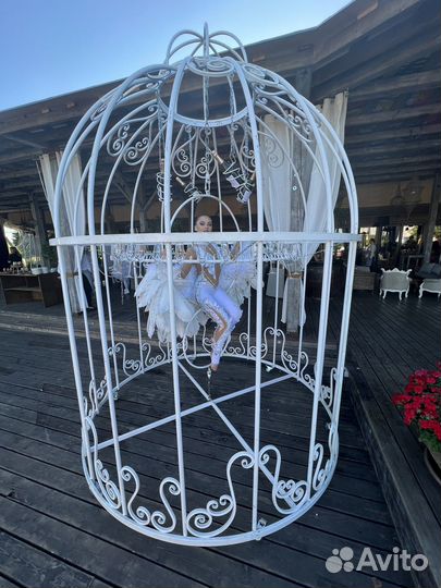 Девушка в клетке