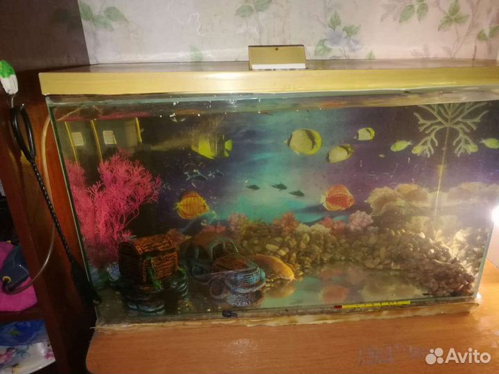 Аквариум с рыбками