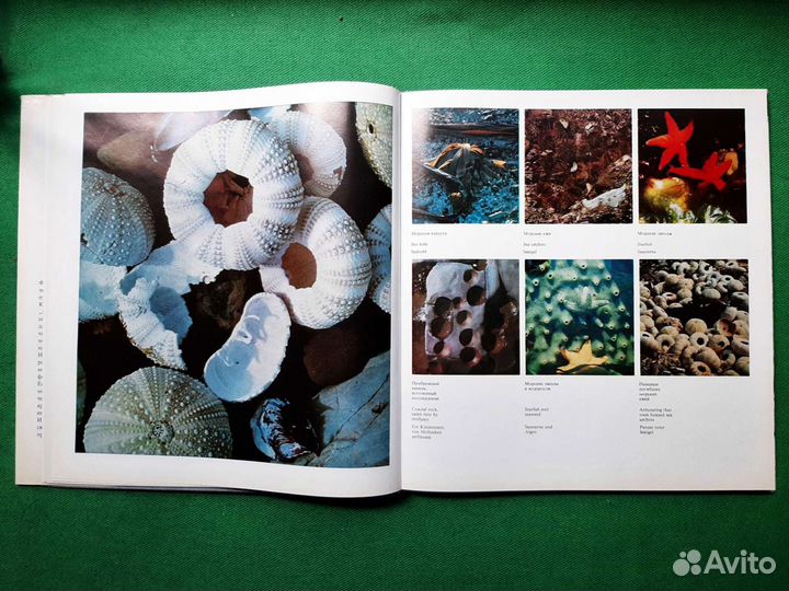 Гиппенрейтер В. Командоры. Фотоальбом. 1972