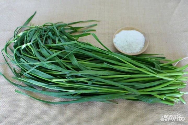 Семена зелёного чеснока(домашнего)многолетний