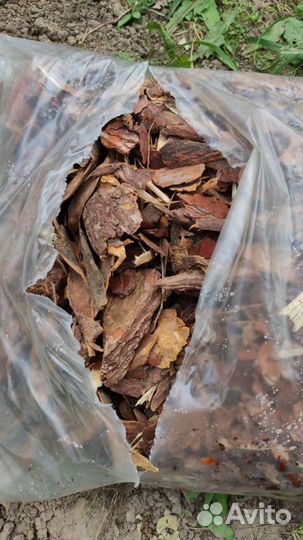 Мульча из коры сосны байкальской для декора крупна